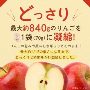 りんごチップス ドライアップル 国産 長野県産...の詳細画像2