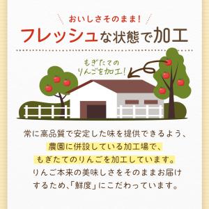 りんごチップス ドライアップル 国産 長野県産...の詳細画像5