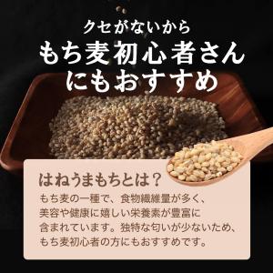もち麦 国産 有機 はねうまもち 500g オ...の詳細画像2
