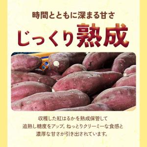 焼き芋 紅はるか 200g 蜜たっぷり 小さめ...の詳細画像4
