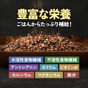 国産 佐賀県産 皮付き紫もち麦 500g 食物...の詳細画像4