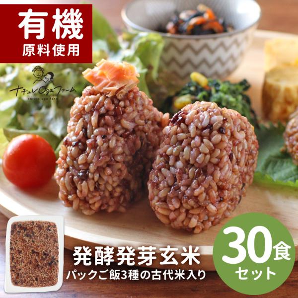発酵 発芽玄米 パックご飯 160g×30食 レトルト ごはん 古代米 国産 ポイント消化