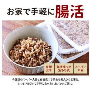パックご飯 玄米 スーパー大麦 紫もち麦 16...の詳細画像2