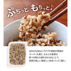 パックご飯 玄米 スーパー大麦 紫もち麦 16...の詳細画像5
