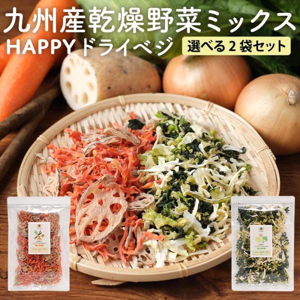 ポイント5倍 乾燥野菜 ミックス 国産 無添加 2袋セット 根菜 葉野菜 九州産 キャベツ ほうれん...