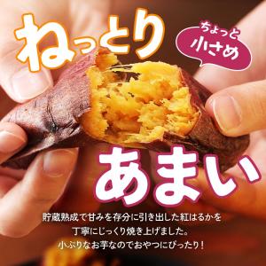 焼き芋 紅はるか 200g 3袋 セット 蜜た...の詳細画像2