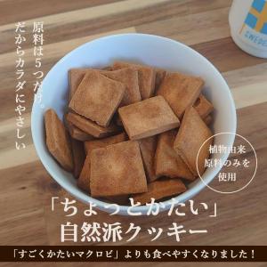 豆乳おからクッキー ちょっとかたい 500g ...の詳細画像2