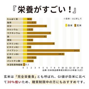 パックご飯 玄米 もち麦 黒米 レトルト 16...の詳細画像5