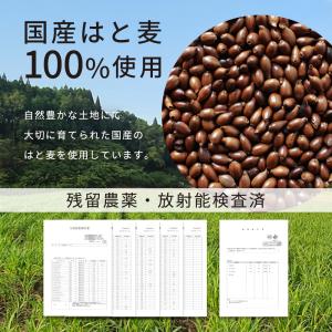 ハトムギ茶 ティーバッグ 国産 50包 はとむ...の詳細画像2