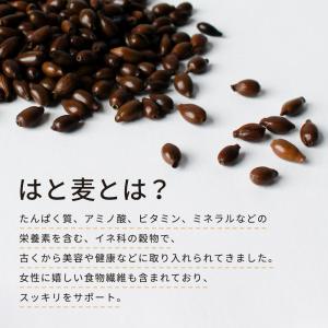 ハトムギ茶 ティーバッグ 国産 50包 はとむ...の詳細画像3