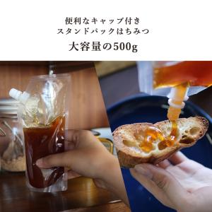 百花はちみつ 500g 大容量 純粋はちみつ ...の詳細画像1