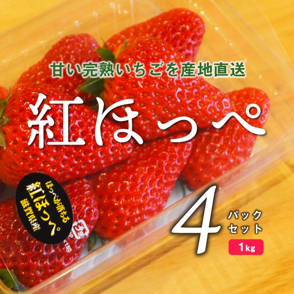 いちご　紅ほっぺ　4パックセット　1ｋｇ　（ナチュラ日野）