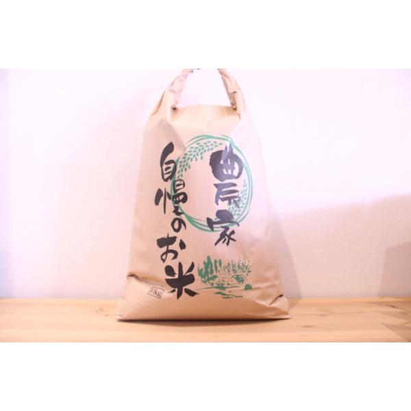 近江米　コシヒカリ　精米10ｋｇ　（ナチュラ日野）