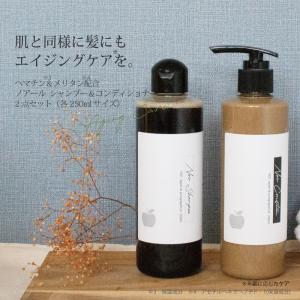 NEWシャンプー ＆ コンディショナー メリタン＆ヘマチン配合ノアール（各250ml）