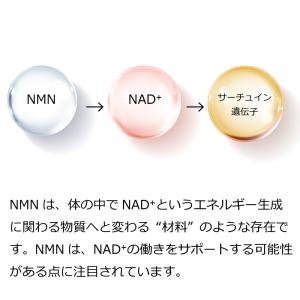 高純度NMN40000ppm原液(30ml)(...の詳細画像5