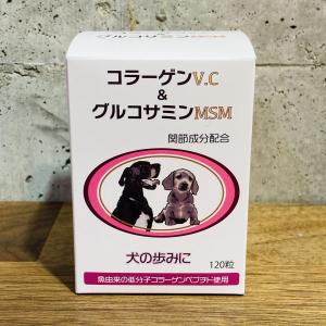 アイコナ aikona 犬用 サプリメント 60g 腸活 ケア 愛犬 : Select Shop