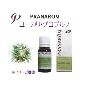 【PRANAROM】プラナロム 精油 エッセンシャルオイル☆ユーカリ 10ml｜natural-color