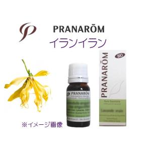【PRANAROM】プラナロム 精油 エッセンシャルオイル☆イランイラン 10ml｜natural-color