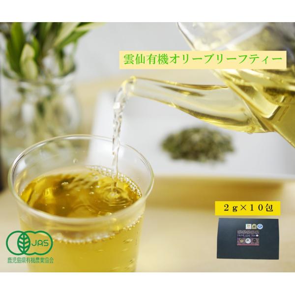 オリーブリーフティー ２g×10包[有機JAS認証オリーブ葉使用](お茶 ティーバッグ 健康飲料 美...