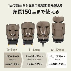 マキシコシ エメラルド 360 プロ Emer...の詳細画像3