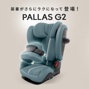 サイベックス パラス G2 ムーンブラックプラ...の詳細画像2