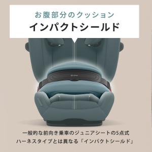 サイベックス パラス G2 ムーンブラックプラ...の詳細画像5
