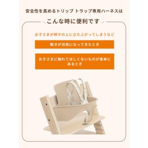 ストッケ トリップトラップ ベビーセット専用 ...の詳細画像2