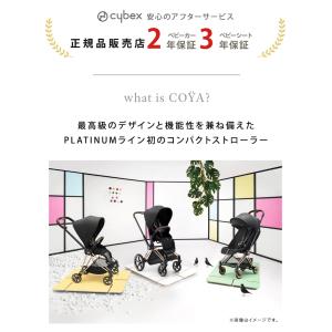 サイベックス コヤ ローズゴールドフレーム +...の詳細画像1