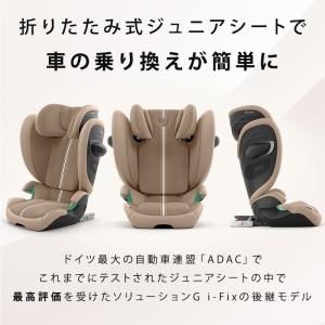 サイベックス ソリューション G2 ストーミー...の詳細画像2