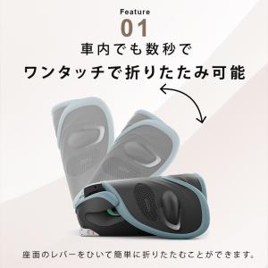 サイベックス ソリューション G2 ストーミー...の詳細画像3