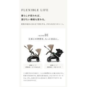 サイベックス ガゼルS + シートユニット セ...の詳細画像5