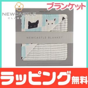 ニューキャッスルクラシックス NEWCASTLE CLASSICS バンブーブランケット Peek-ABooCats ＆ Pencil Stripe おくるみ｜natural-living