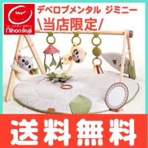 TINYLOVE タイニーラブ Boho Chic ラックス デベロプメンタル