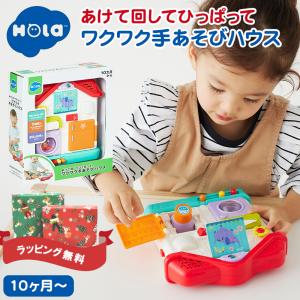ボーネルンド（Bornelund） ピックアップパズル バラエティ 知育玩具