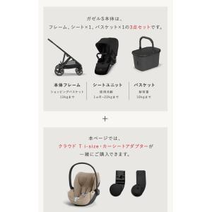 サイベックス ガゼルS + クラウド T i-...の詳細画像2
