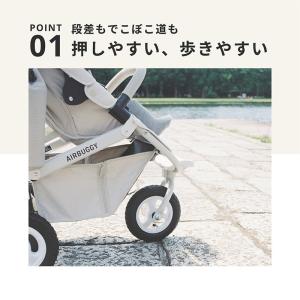 レビュー特典あり ベビーカー 新生児 A型 エ...の詳細画像3