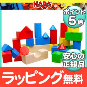 HABA ハバ社 ブロックス カラー 木のおもちゃ ドイツ製 積木 ペグさし 木製玩具 知育玩具