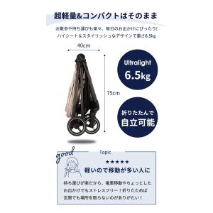 nuna ヌナ ベビーカー イクサ ネクスト ...の詳細画像3