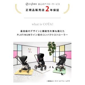 サイベックス コヤ セピアブラック クロームフ...の詳細画像2
