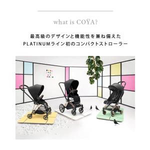 サイベックス コヤ 専用 バンパーバー coy...の詳細画像3