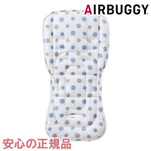 エアバギー ダクロンフレッシュ シートの買取情報