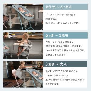 サイベックス レモ 3in1 ベビーチェア ハ...の詳細画像5