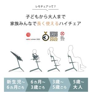 cybex サイベックス レモ 3in1 + ...の詳細画像3