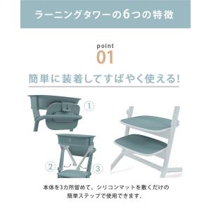 cybex サイベックス レモ 3in1 + ...の詳細画像5