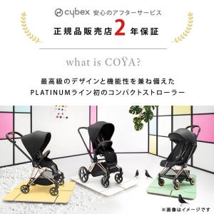 サイベックス コヤ マットブラックフレーム ク...の詳細画像2