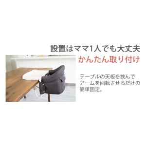 イングリッシーナ ファスト Inglesina...の詳細画像5