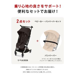 2026 バンパーバープレゼント サイベックス...の詳細画像1
