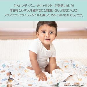 エイデンアンドアネイ ディズニー aden+a...の詳細画像2