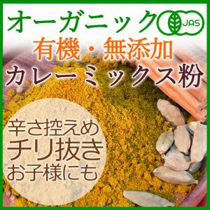オーガニックカレーミックス粉 100g（チリ抜き）【辛さ控えめ・有機・無添加】<br&amp;amp;gt;＜メール便OK＞（カレーパウダー）