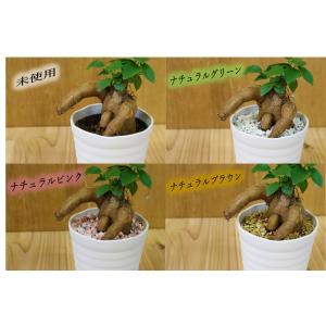 観葉植物 化粧石 鉢 化粧砂 ポット ガーデニ...の詳細画像1